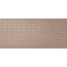 Декор 50*110 MEK Rose Hexagon